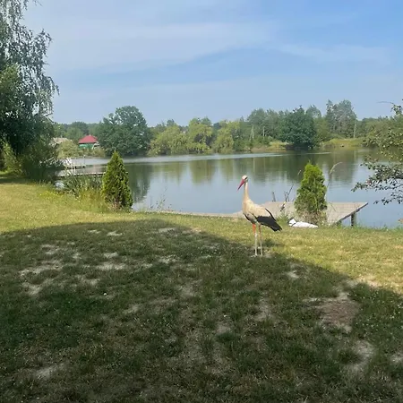 перлина буковини Nyaraló Lipovans