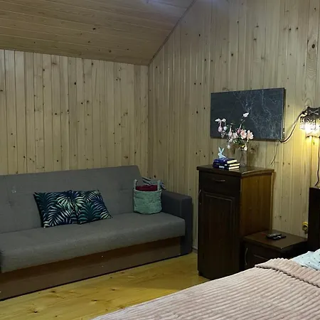 Nyaraló перлина буковини
