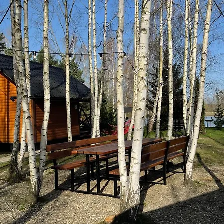 Nyaraló перлина буковини Lipovans
